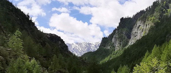 Val Pellice